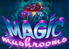 Magic Mushrooms