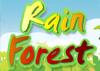 Rain Forest