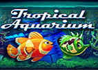 Tropical Aquarium
