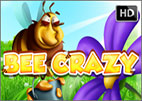 bee-crazy
