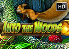 Into the Woods