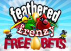 feathered-frenzy