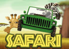 safari
