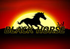 black-horse