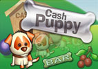 cash-puppy