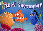 Reef Encounter
