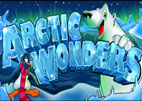 arctic-wonders
