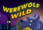 Werewolf Wild