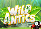 wild-antics