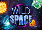 Wild Space