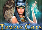 temple-cats