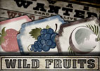 Wild Fruits