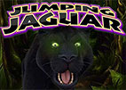 Jumping Jaguar