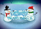 Winter Wonders